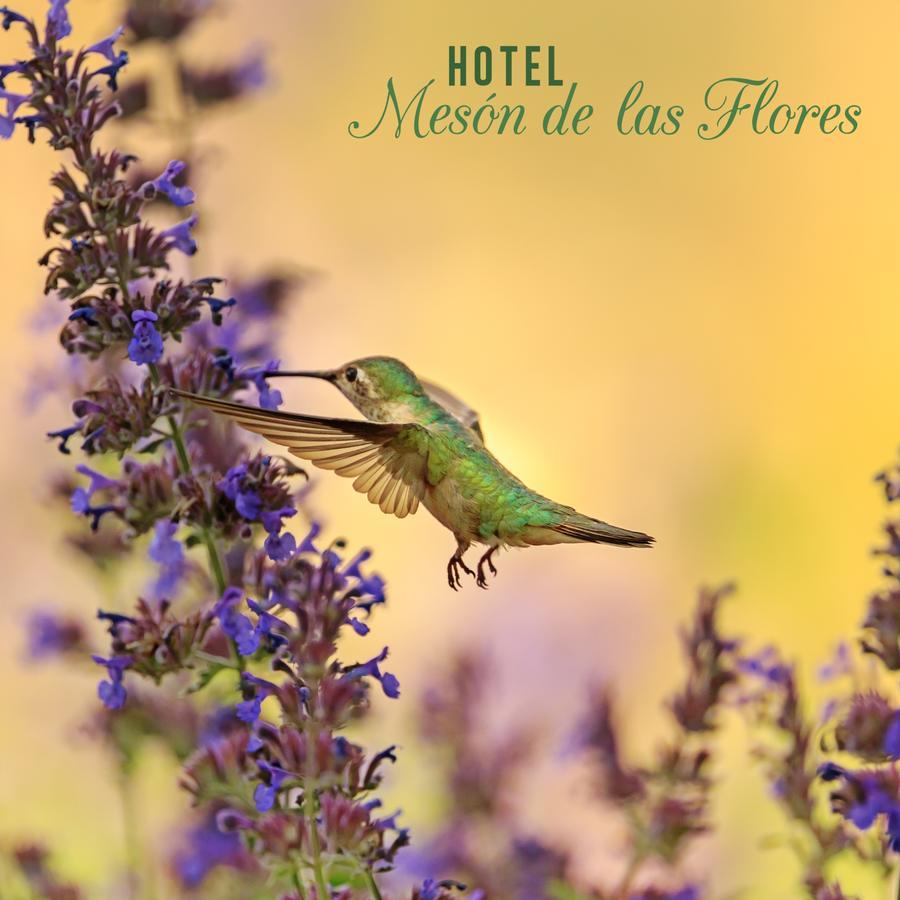 Hotel Meson De Las Flores Armenia  Eksteriør bilde