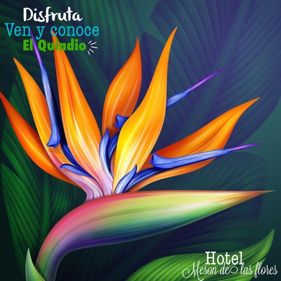 Hotel Meson De Las Flores Armenia  Eksteriør bilde